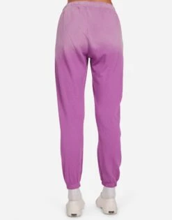 Chantria Pink Ombre Lip 9 Chantria Pink Ombre Lip -Lauren Moshi Shop 4155 FTL 15613 ORCOMB 03